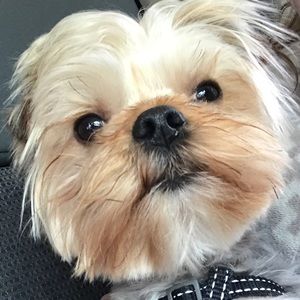 Meet your Posher, Felicity